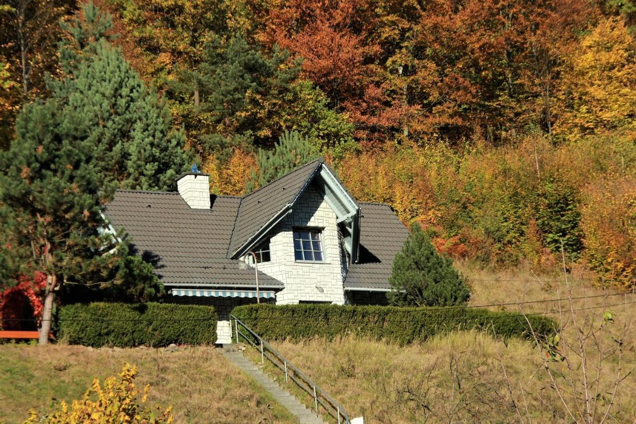 Villa Letniskowa 10 Czernichow  Exterior foto